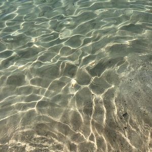 Meet your Posher, Leia